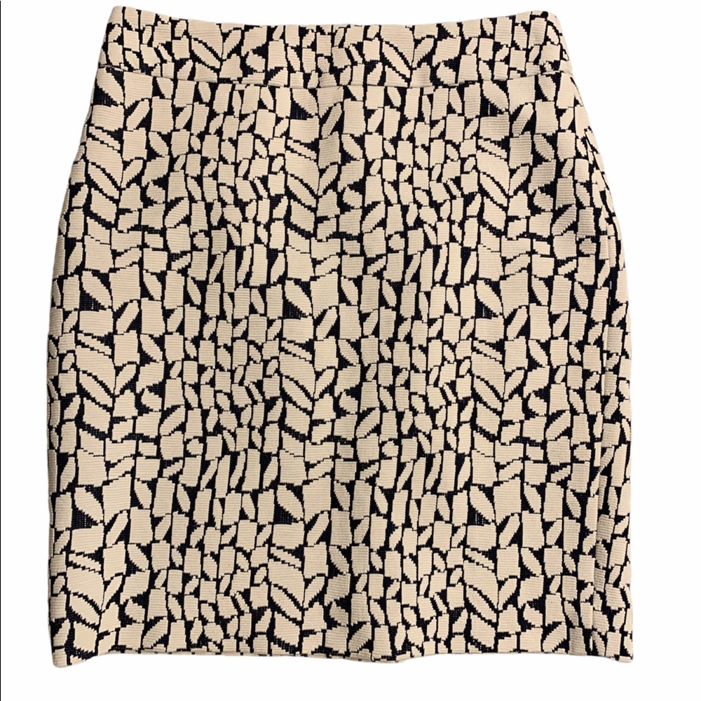 Ann Taylor skirt